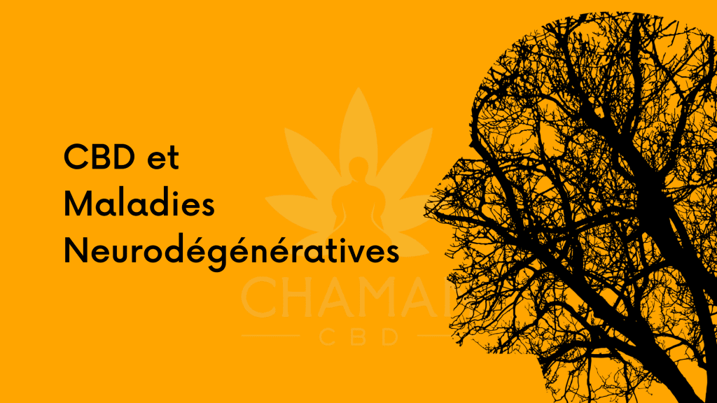 CBD et Maladies Neurodégénératives