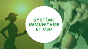 Système immunitaire et CBD