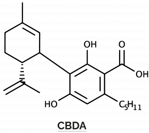 CBDA formula