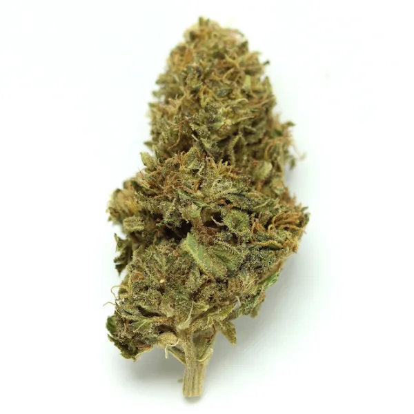 Amnesia Haze 14%
