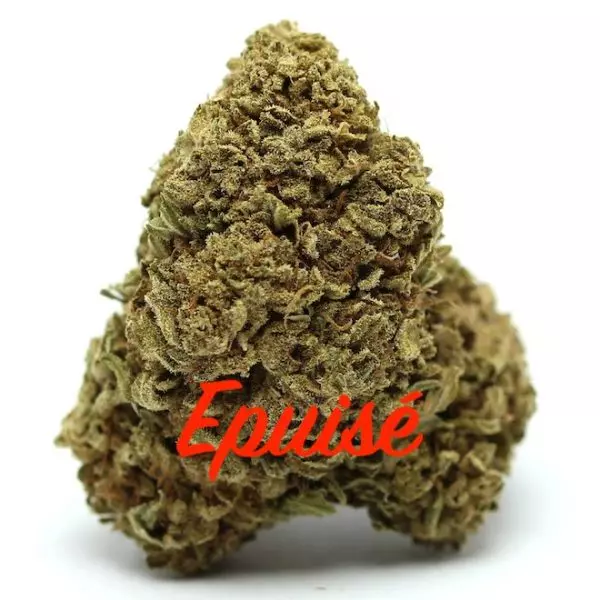 Banana Punch