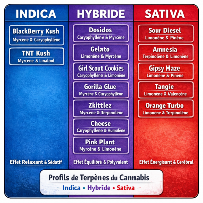 Terpènes botaniques Vape Chaman CBD