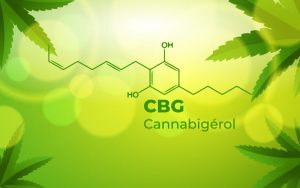 CBG-Dosages-et-Recommandations