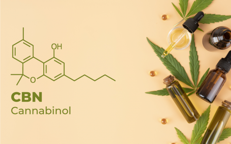 CBN or cannabinol blog banner