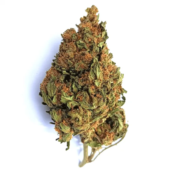 Orange Cali