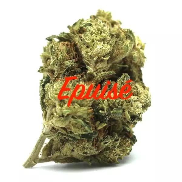 Jack Herer CBD