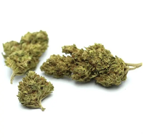 Jack Herer Fleurs CBD