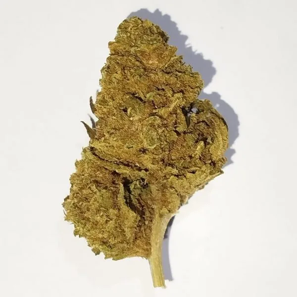 Fanta Zkittlez