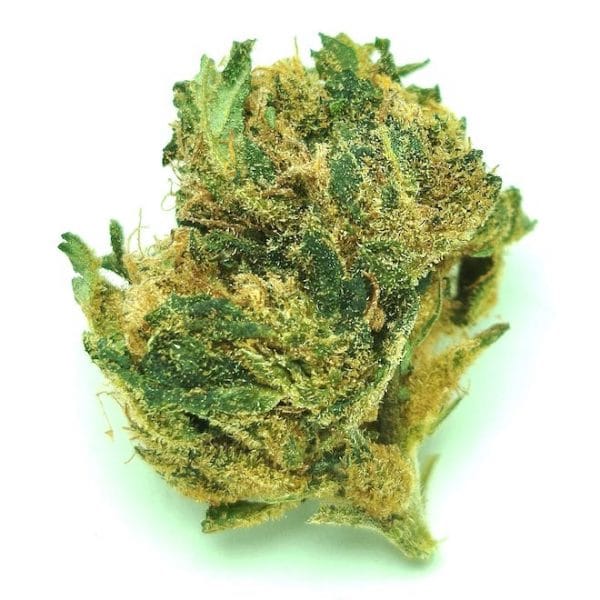Orangeka