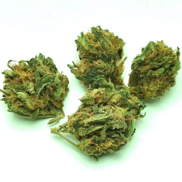 Orangeka