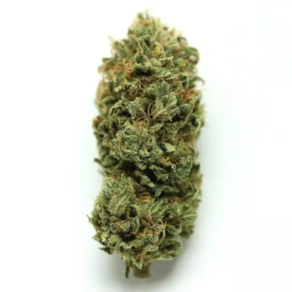 Champagne CBD
