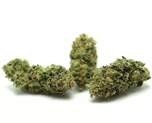 Champagne CBD