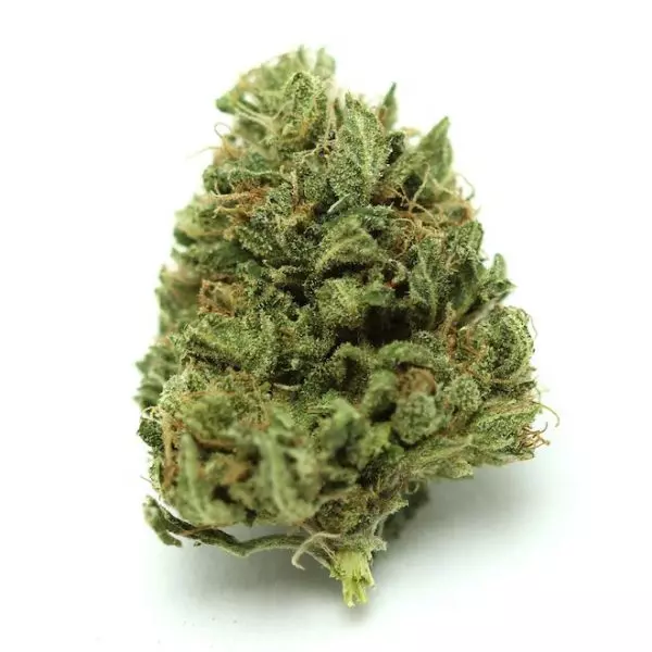 Mind Biscuit CBD