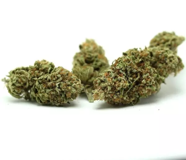 Peyote Cheese CBD