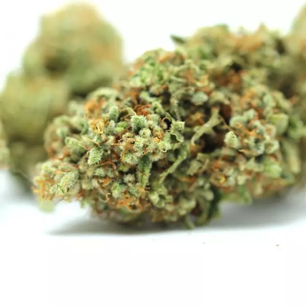Peyote Cheese CBD