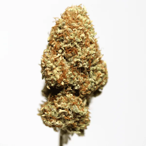 P. Cheese