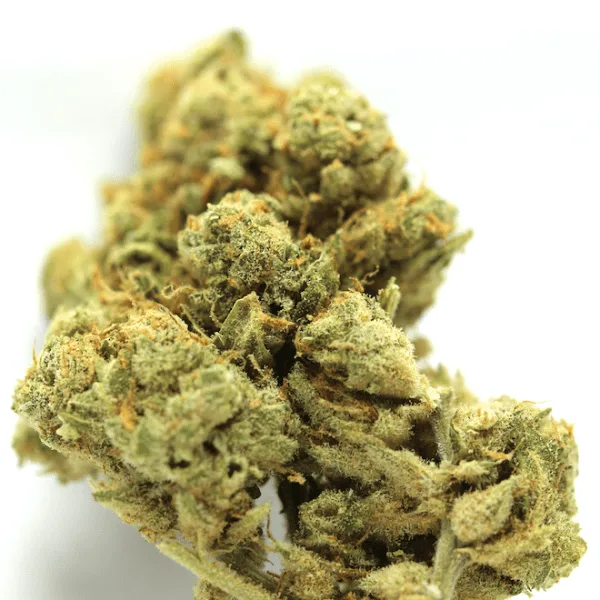 Amnesia INDOOR CBD