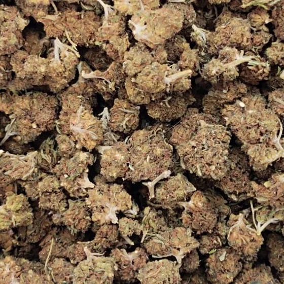 LIL TANGIE