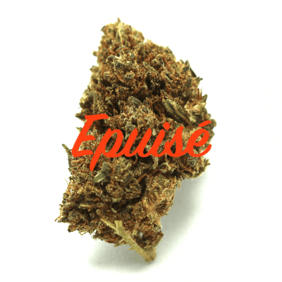 Tangie Chaman CBD