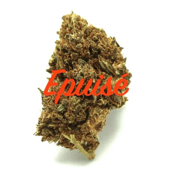 Tangie Chaman CBD