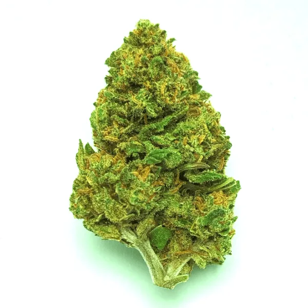 Clémentine Kush