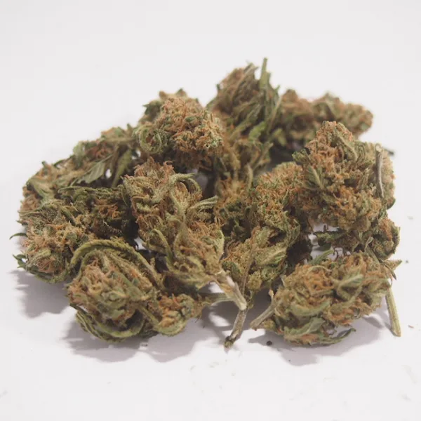 Blue Grape
