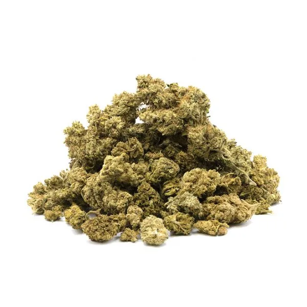 Blue Grape