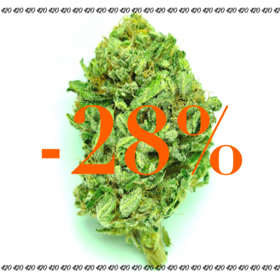 Strawberry Cheesecake